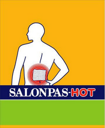 SALONPAS HOT logo
