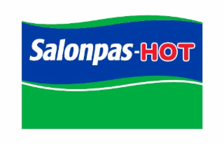 SALONPAS-HOT logo