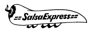 SALSA EXPRESS logo