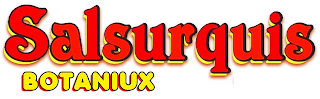 SALSURQUIS BOTANIUX logo