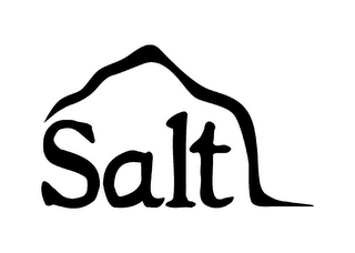 SALT logo