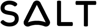 SALT logo