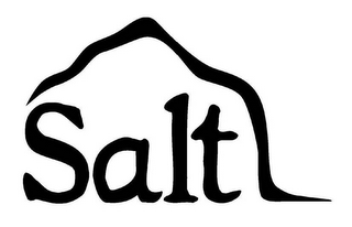 SALT logo