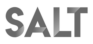 SALT logo