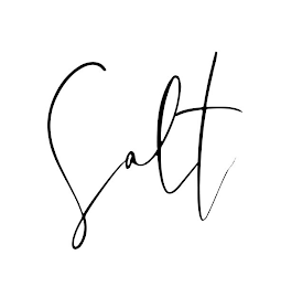 SALT logo