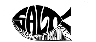 SALT CHRISTIAN FELLOWSHIP INTERNATIONAL logo