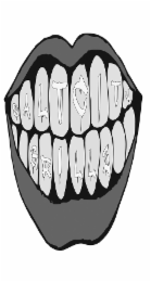 SALT CITY GRILLZ logo