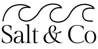 SALT & CO logo