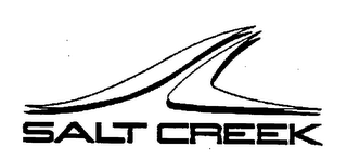 SALT CREEK logo