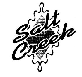 SALT CREEK logo