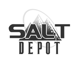 SALT DEPOT logo