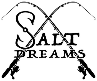 SALT DREAMS logo