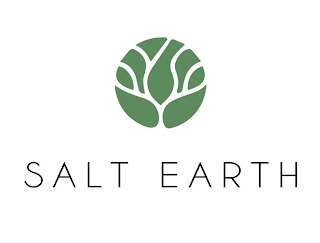 SALT EARTH logo