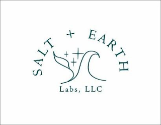 SALT + EARTH LABS, LLC logo