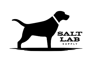 SALT LAB SUPPLY logo
