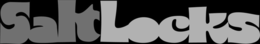 SALT LOCKS logo