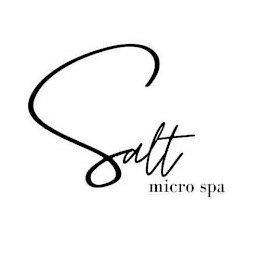 SALT MICRO SPA logo