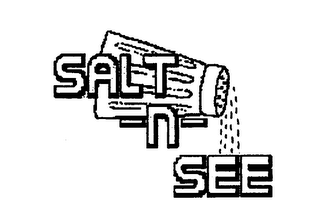 SALT-N-SEE logo