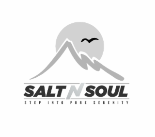 SALT N SOUL STEP INTO PURE SERENITY logo