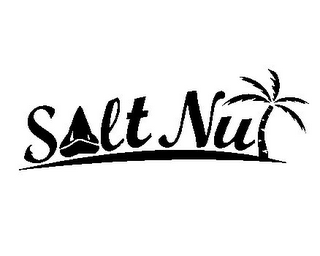 SALT NUT logo