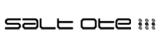 SALT OTE logo