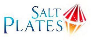 SALT PLATES logo