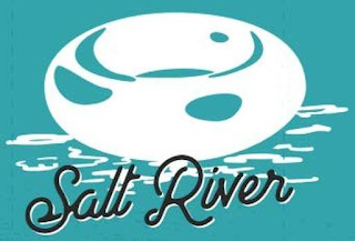 SALT RIVER logo