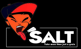 SALT TAKE MORE THAN JUST A GRAIN logo