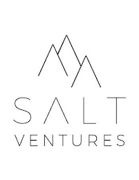 SALT VENTURES logo