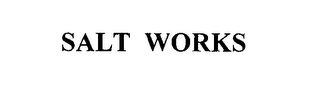 SALT WORKS logo