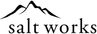 SALT WORKS logo