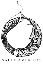 SALTA AMERICAS logo