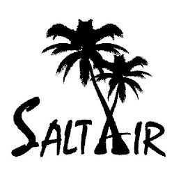 SALTAIR logo