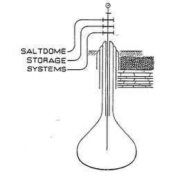 SALTDOME STORAGE SYSTEMS logo