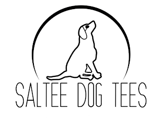 SALTEE DOG TEES logo