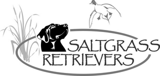 SALTGRASS RETRIEVERS logo