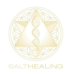 SALTHEALING logo