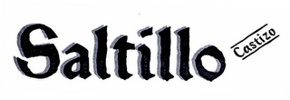 SALTILLO CASTIZO logo