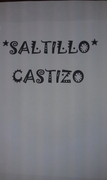 SALTILLO CASTIZO logo