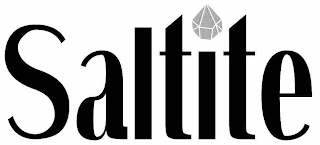 SALTITE logo