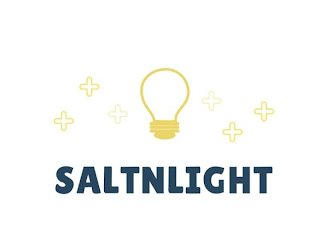 SALTNLIGHT logo