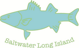 SALTWATER LONG ISLAND logo