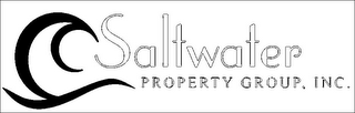 SALTWATER PROPERTY GROUP, INC. logo