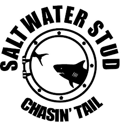 SALTWATER STUD CHASIN' TAIL logo