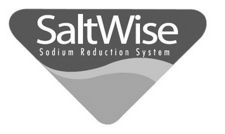SALTWISE SODIUM REDUCTION SYSTEM logo
