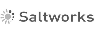 SALTWORKS logo