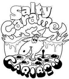 SALTY CARAMEL CARIBOU logo