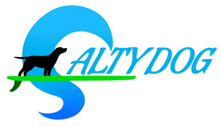 SALTY DOG logo