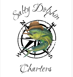 SALTY DOLPHIN CHARTERS logo