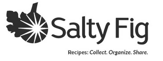 SALTY FIG RECIPES: COLLECT. ORGANIZE. SHARE. logo